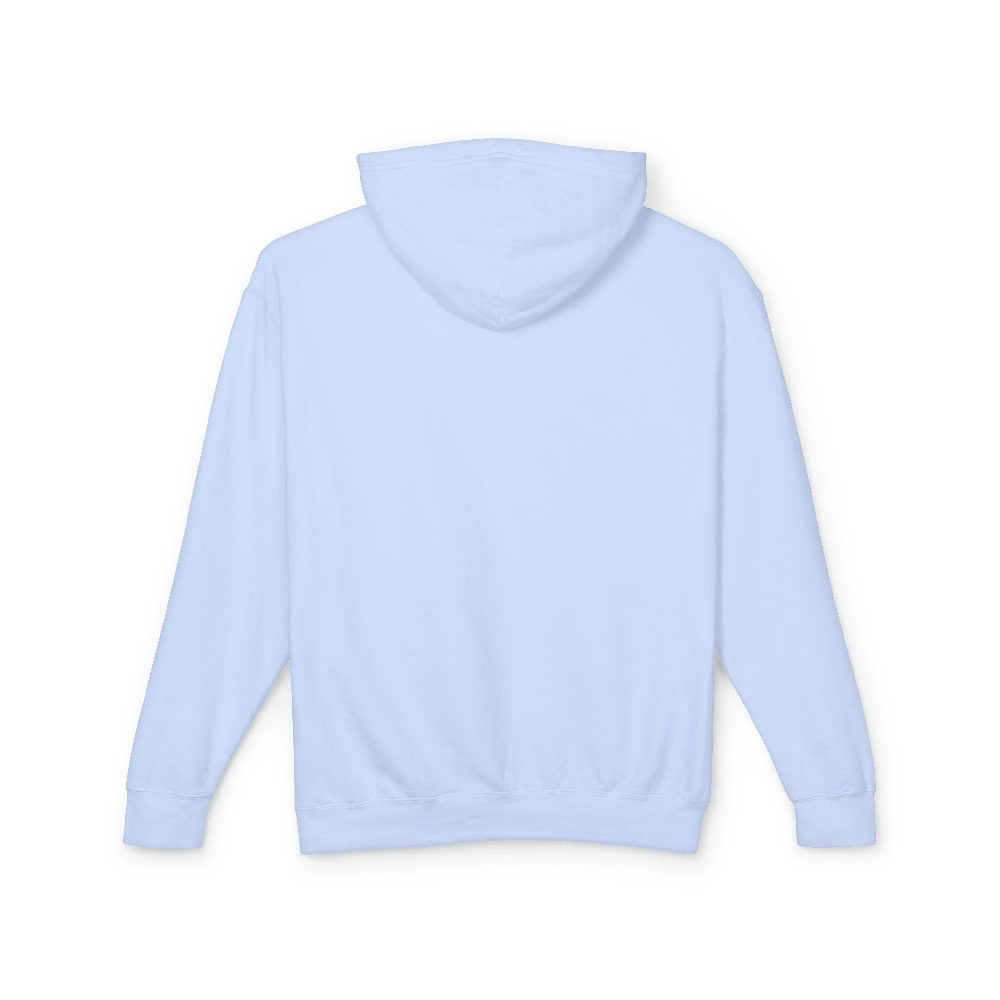 Hoodie — Pink Wisky Apparel Logo Lightweight Hooded Sweatshirt